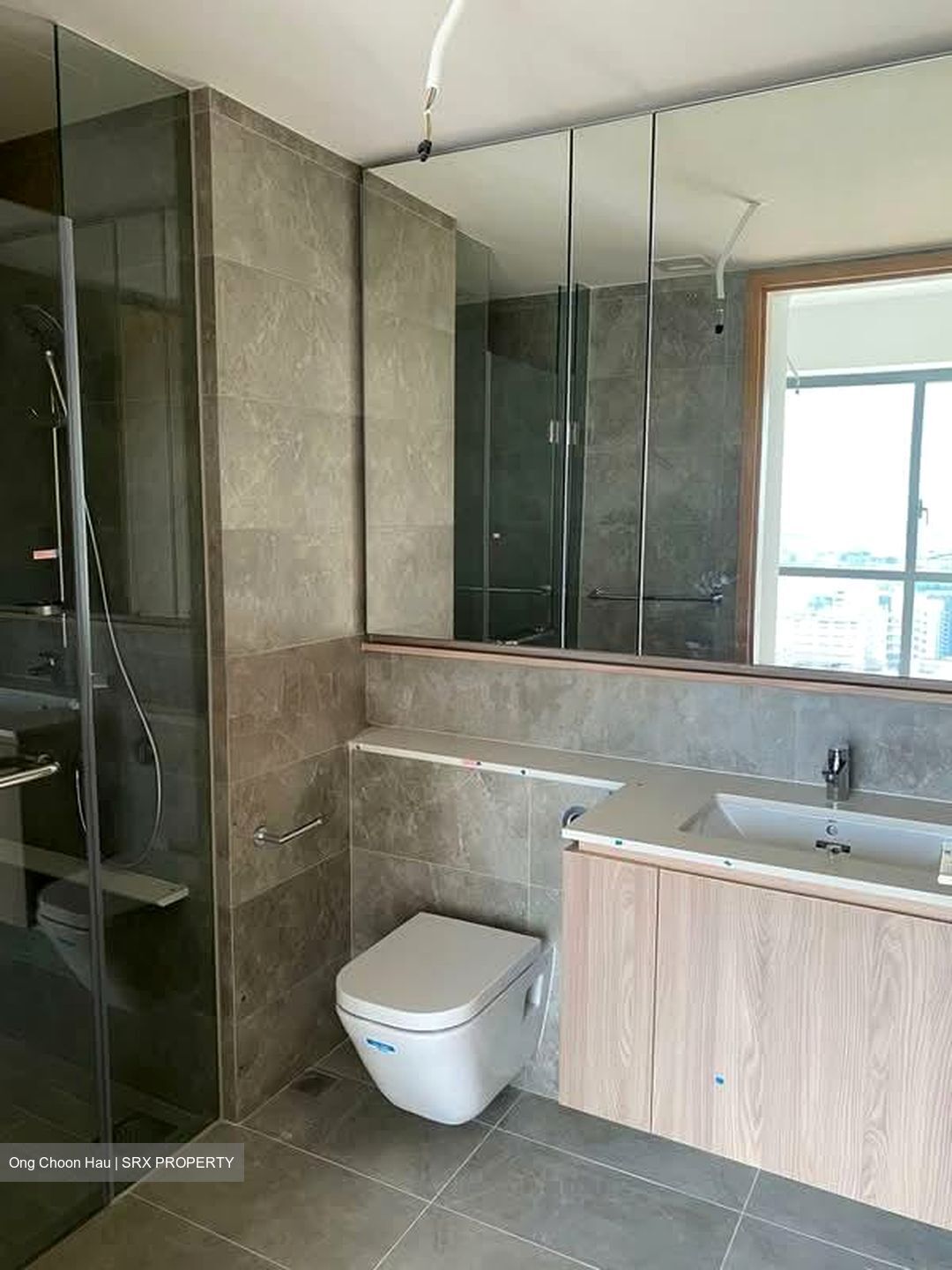 Twin Vew (D5), Apartment #553487911